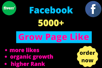 get you 5000 facebok followers fast