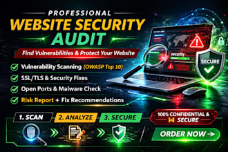 perform a professional website security audit and provide a vulnerability report