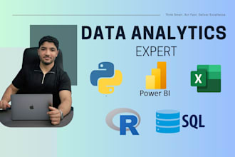 deliver professional data analytics dashboards