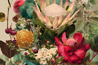 make a botanical illustration