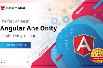 develop and help with your angular web application