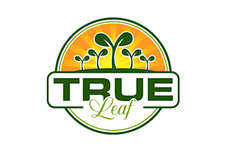 create wonderful and excellent microgreen logo design
