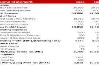 assist in preparation of financial statements, income statements and cashflows