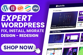 fix, migrate, setup wordpress site with panel, theme, plugins