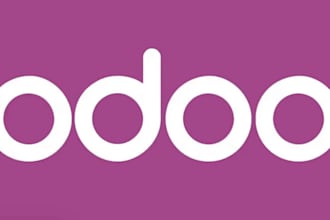 set up, customize, and deploy your odoo for business success