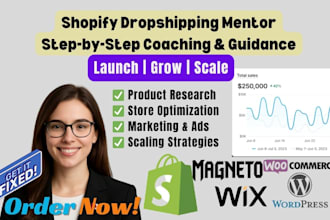 be your 1 on 1 shopify dropshipping mentor and coach for ecommerce store success