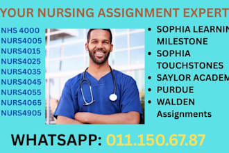 do bsn, msn and dnp nursing capella, walden bsn, lockdown, honorlock, examsoft