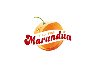 do the ultimate logo design for website,food,drink,juice bar