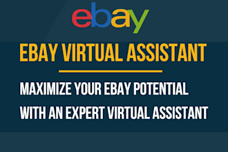 professional virtual assistant for ebay store management