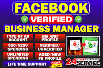 set up facebook business manager and ad account with expert fb ads consultation