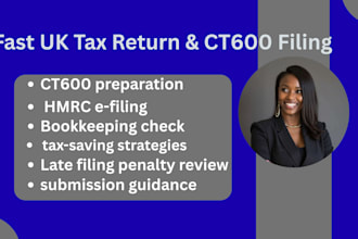 provide professional ct600 tax return and hmrc company registration service