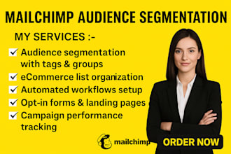 segment mailchimp audience with tag and groups for ecommerce