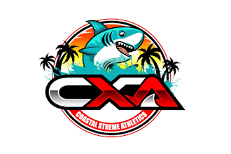 create graceful and fantastic shark logo design
