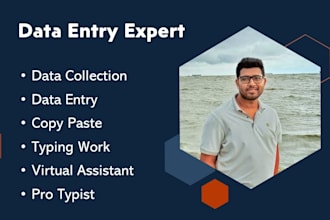 do excel data entry, data entry, PDF to excel data entry, website data entry