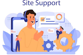 maintain your wordpress site