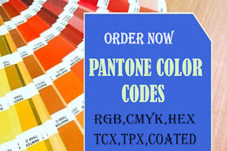 professionally match your design to accurate pantone colors