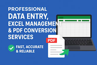 excel data management, data entry, PDF conversion