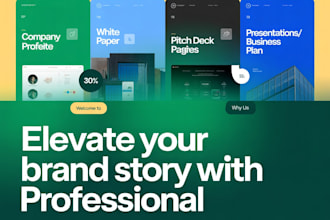 design business pitch and brand slides
