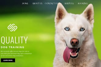 design squarespace animal cafe website dog cafe website pet store website pet