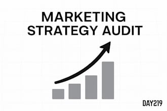 audit your marketing and deliver a clear growth strategy roadmap