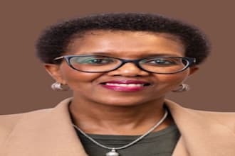 do legal research, political sciences, law and sociology