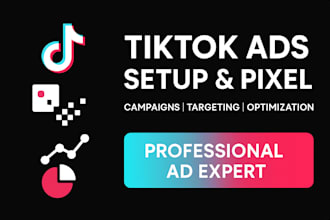 set up and optimize tiktok ads with pixel integration