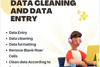 do data entry and clean excel data