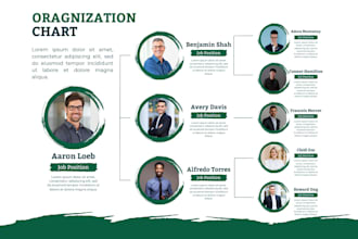 design professional organizational chart,organogram,org chart