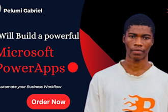 develop and customize a microsoft powerapps canvas app