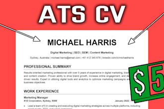make you a professional ats friendly CV