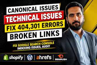fix 404, 301, broken links, console errors, indexing and canonical issues