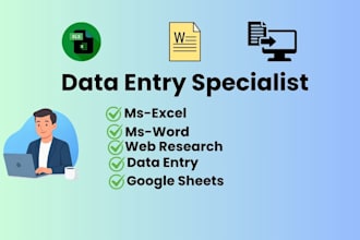 do accurate copy paste web research and excel work