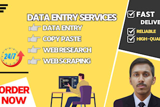 do data entry, copy paste, web scraping, PDF to excel