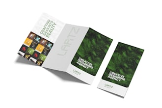 design professional, custom made flyer or poster
