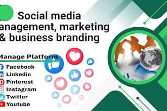 social media management, marketing and business branding