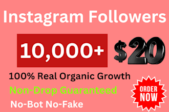 get 1000 organic instagram followers