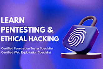 provide penetration testing session