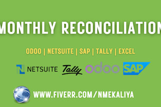 do monthly reconciliation on odoo, netsuite, sap, tally, excel etc