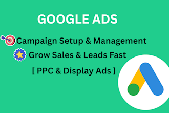 do professional google ads setup and manage your adwords PPC campaign