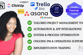 provide project management and operations support