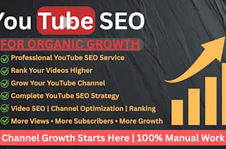 do youtube SEO and channel optimization