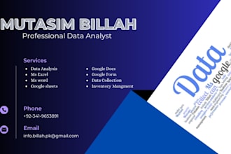 be your data analyst and data entry operator
