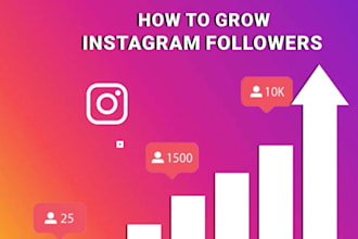 grow your instagram followers and reach organically