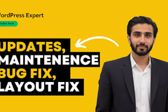 update, fix, customize or maintain your wordpress website
