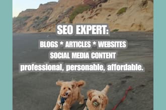 write professional instagram SEO content