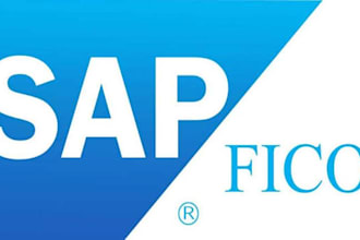 be your expert sap fico and mm consultant for implementation and support
