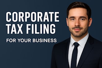 provide expert uae vat and corporate tax compliance and advisory