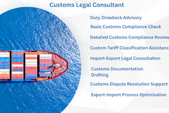 assist with import export compliance, customs clearance and trade policy