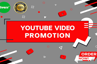 shoutout usa youtube video SEO promotion to 1 million people for views