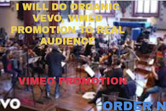 do organic vevo promotion, vimeo video promotion using google ads
